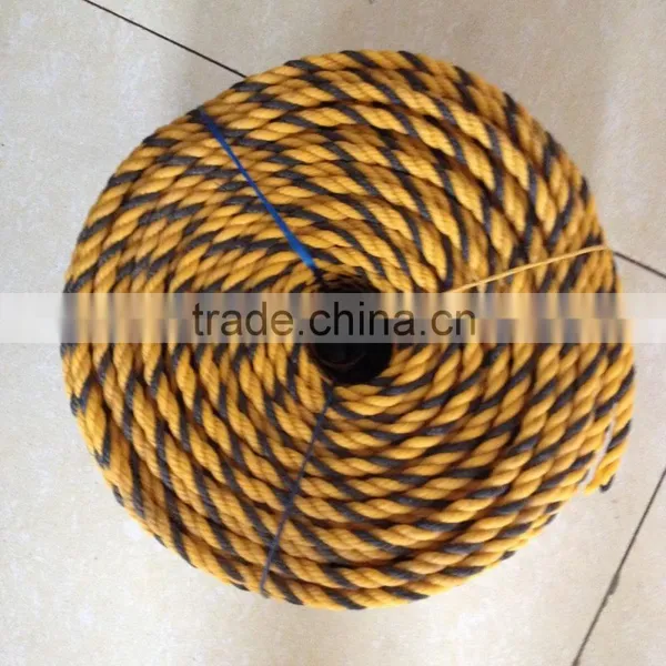 China Professional Leading Manufacturer 3 Strands PP Rope photo-3