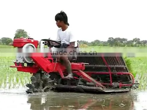 175F India Riding Type 238mm 8Rows Rice Transplanter With Cheap Rice Transplanter Price photo-6