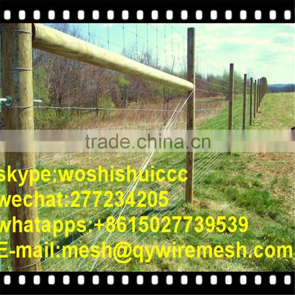 Hot Dip Galvanized Sheep and Goat Farming Fence photo-3