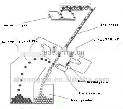 Hons Ccd Led Corn Color Sorter With Best Quality photo-5