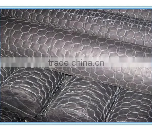 PVC Coated Hexagonal Wire Mesh/Plastic Coated Hexagonal Wire Mesh Made in China photo-6