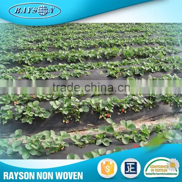 17~70g/m2 Biodegradable Weed Control PP Non Woven Weed Mat photo-4