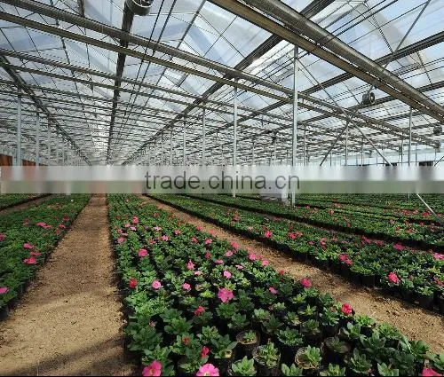 The Sunlight Greenhouse for Flowers photo-2
