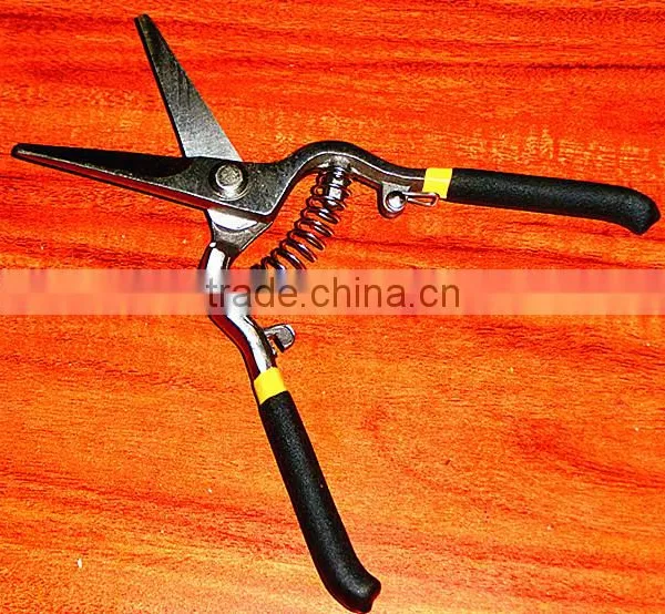 Stainless Steel BY-pass Pruners photo-2