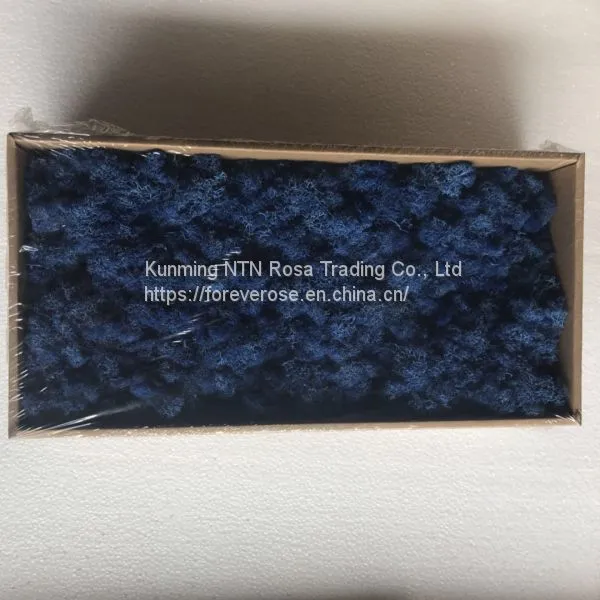Innovative Christmas Decoration With China Moss