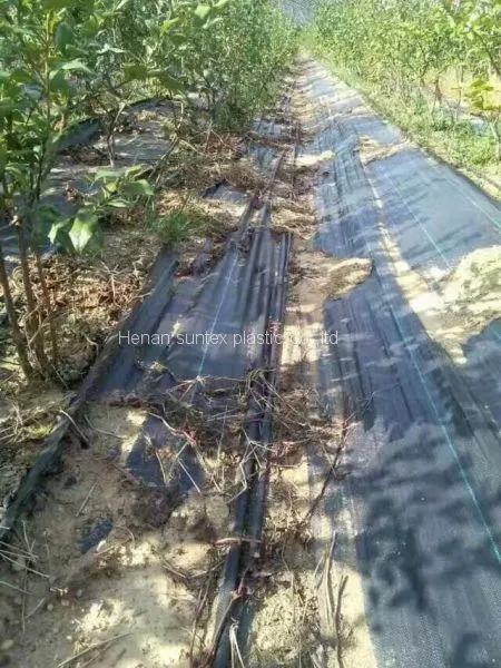 Garlic and Onion PP Woven Weed Control Mat,plastic Ground Cover Black Weed Kill Fabric,100gsm Anti Grass Gardening Mat photo-5