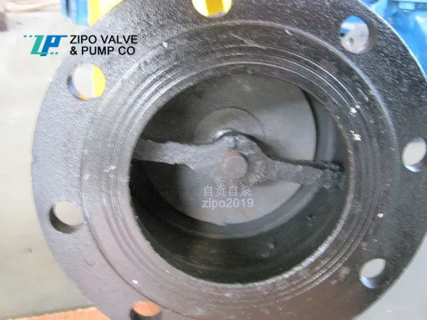 Lift Type Bottom Valve Check Valve photo-5