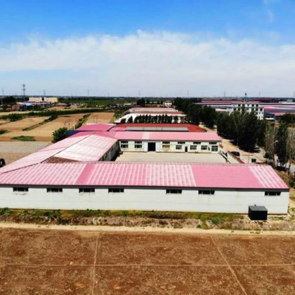 Hebei Dayu Seeds Co.,Ltd. company overview - view 2
