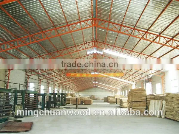 Film Faced Plywood Factory-directly Sales Film Faced Plywood ,plywood/film Coated Plywood photo-2