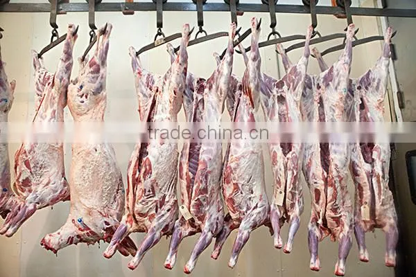 Frozen Lamb and Mutton Meat photo-5
