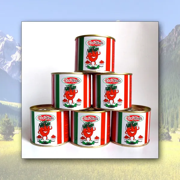 Canned Tomato Paste photo-2