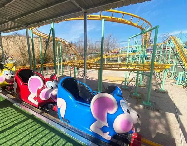 Wild Mouse Roller Coaster photo-2