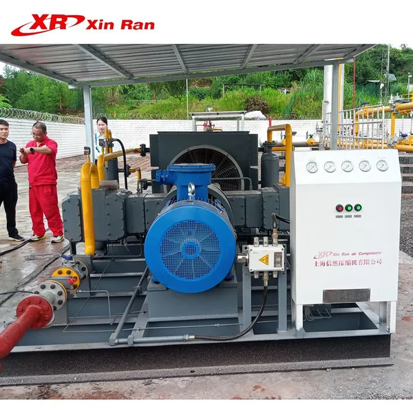 Xinran Group Manufacturers Waste Gas Recovery System Explosion Proof 2 Stage Oil Free Natural Gas Reciprocating Compressor Package