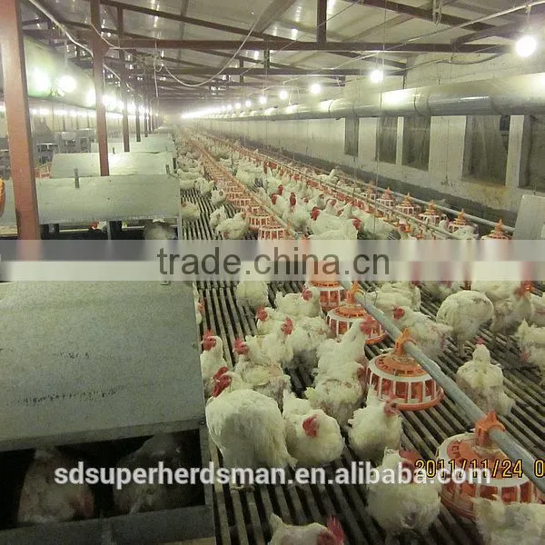 Poultry Raising Equipment
