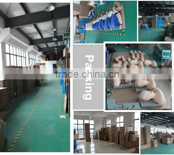 High Quality Ear Chinese Acupuncture Model photo-4