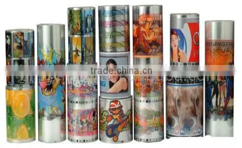 Large Format Flat/cylinder Heat Transfer Printing Machine for Plastic Cup Coffee Mug TC-400R photo-6