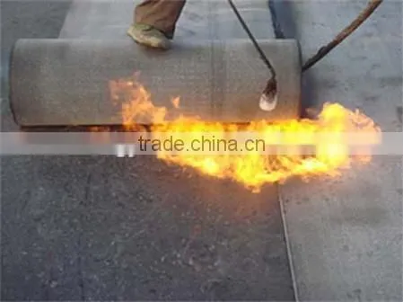 Torched SBS Modified Bitumen Waterproof Membrane photo-5