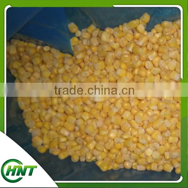 Frozen Sweet Corn Kernels/sweet Corn photo-4