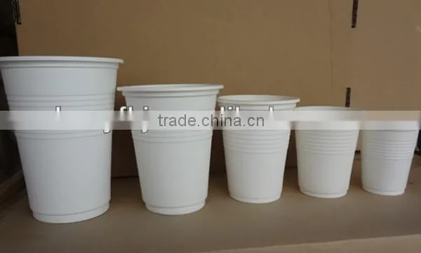 Biodegradable Disposable Cups for Hot Drink photo-3