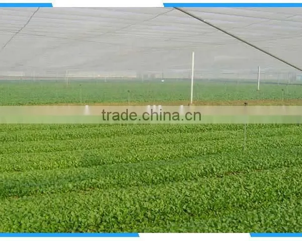 Cheap !!! Anti Trip Insect Net photo-2