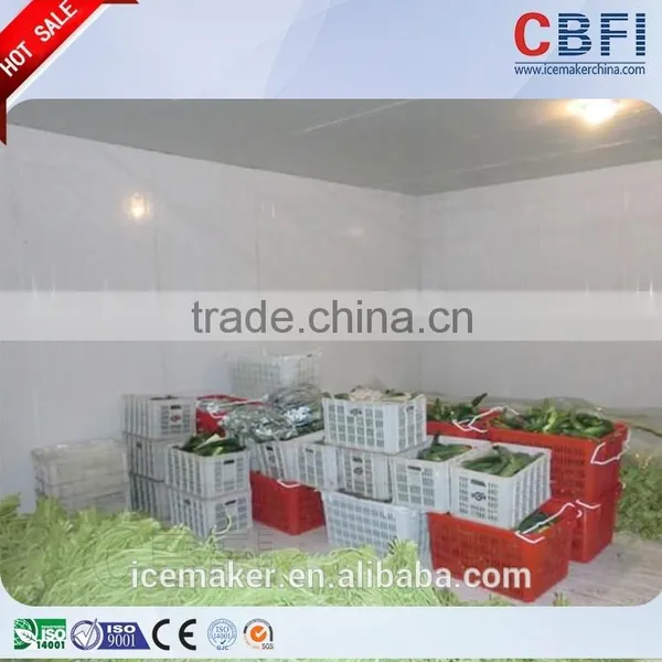 Low Temperature Cold Room Freezer for Fast Cooling photo-6