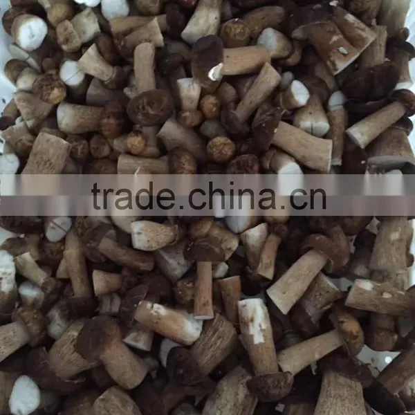 2016 Crop Frozen Boletus Edulis Mushroom With Best Price photo-4