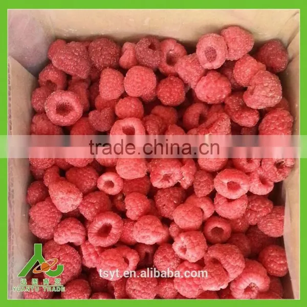 2016 Common and Organic Season Frozen Iqf Raspberry photo-6