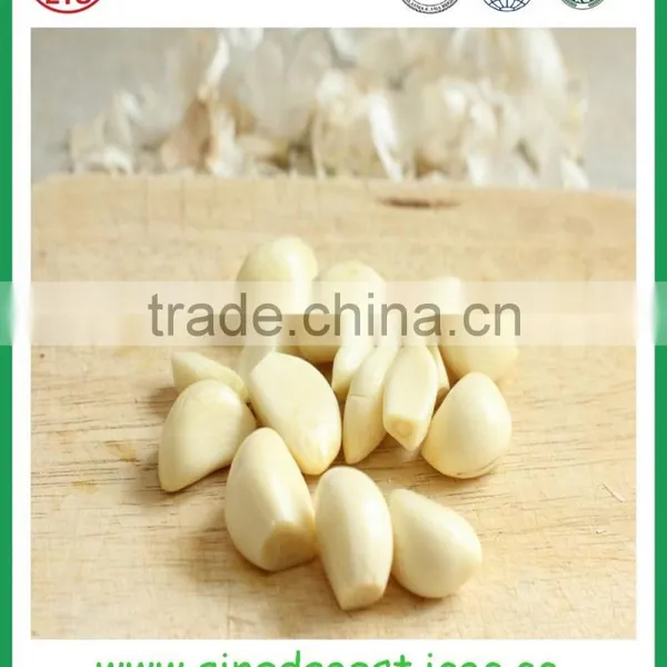 Fresh White Garlic From Chinese Garlic Hometown Jinxiang photo-6