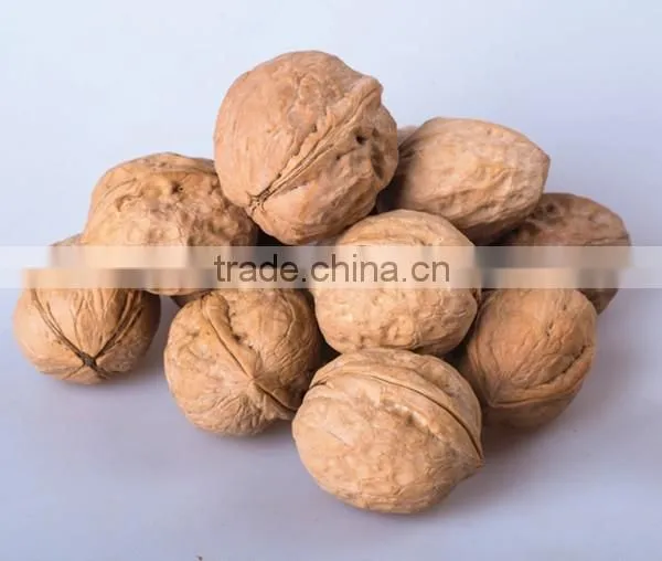 Natural Flavor Walnut Kernel for Selling and Fresh Walnut Kernel photo-3