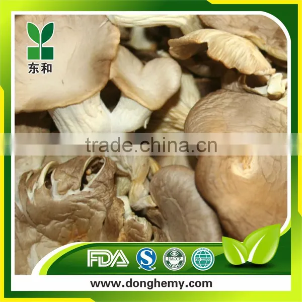 Dried Oyster Mushrooms Price photo-2