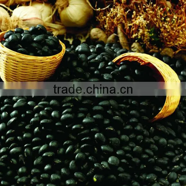 Black Soybean Hull Extract Anthoyanidins 5-25%