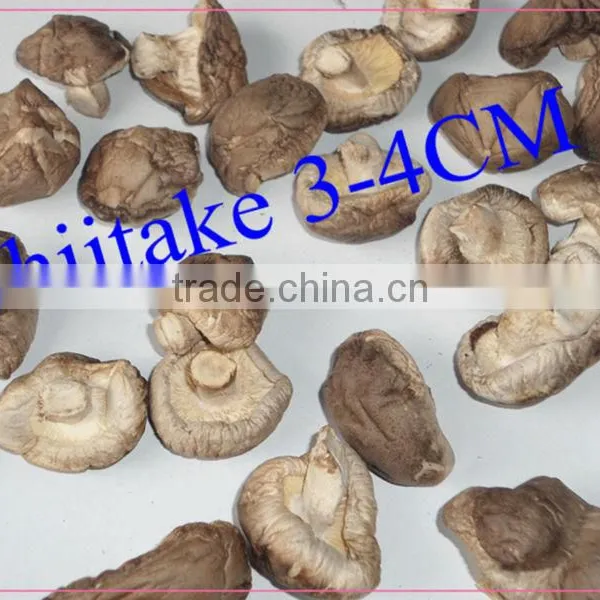 Whole Dried Shiitake Mushroom Price 3-4cm photo-3