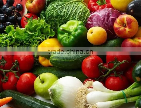 Chinese Indrustrial Stainless Steel High Pressure Ozone Vegetable and Fruit Washer photo-6
