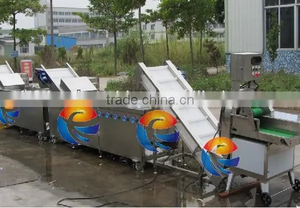 Industrial High Efficient Ozone Disinfected Circulating Water Vegetable Washing Machine photo-3