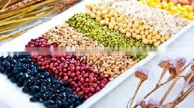 Digital Seed Counting Machine photo-6