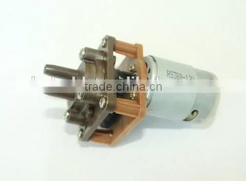 (Pump-03) Battery Fence Painting Sprayer 12V Gear Pump photo-4