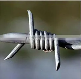 Stainless Steel Barbed Wire photo-5