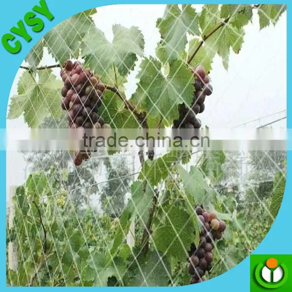 Agriculture Used 100% Virgin HDPE Plastic Green Weaving Anti-bird Net on Hot Selling photo-2