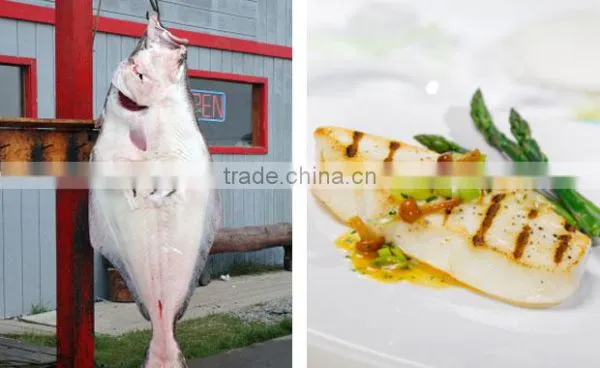 Pacific Halibut