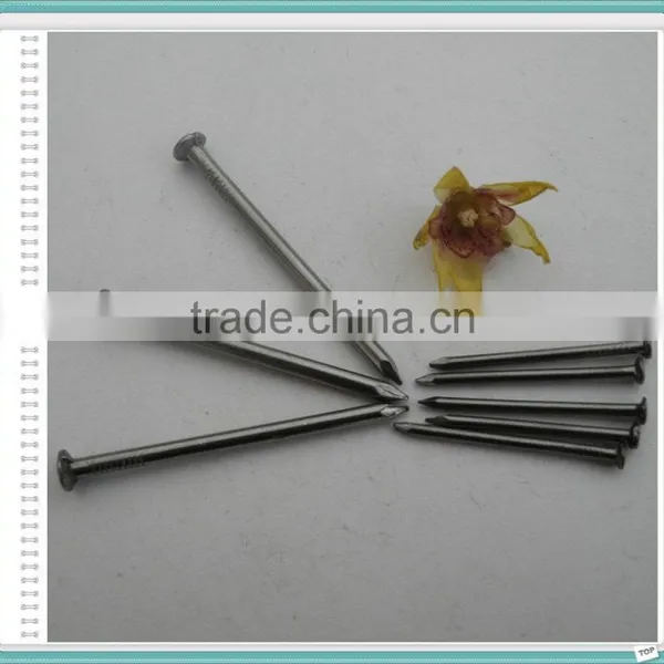 Wire Nails/wire Nails Maufactures in China photo-4