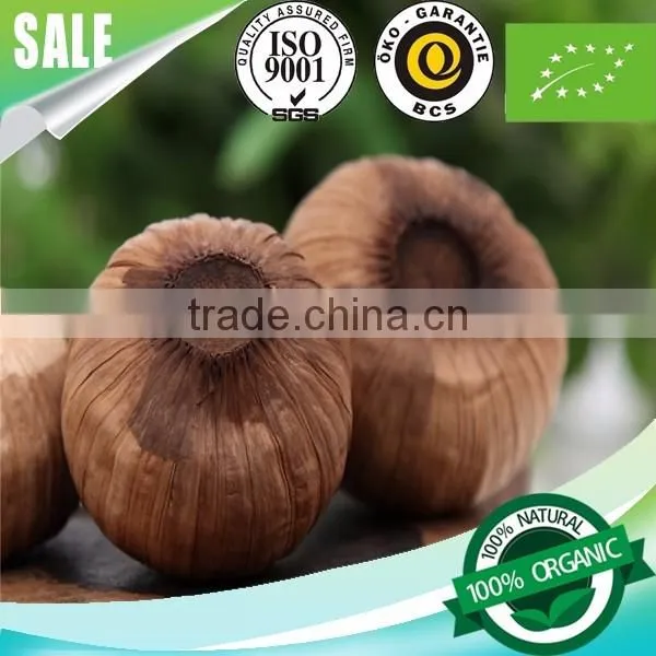 2016 Hot Sale Natural Green Food Black Garlic Single Bulb China photo-4