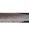Sell Seamless Boiler Tube