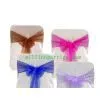 ORGANZA SASHES