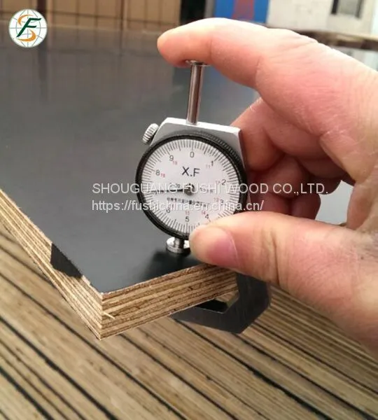 Construction Using BQ Brand Film Faced Plywood From Fushi Wood Group photo-4