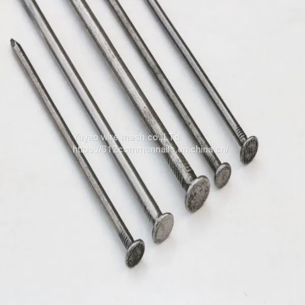 Common Nail For Wood Nail photo-2