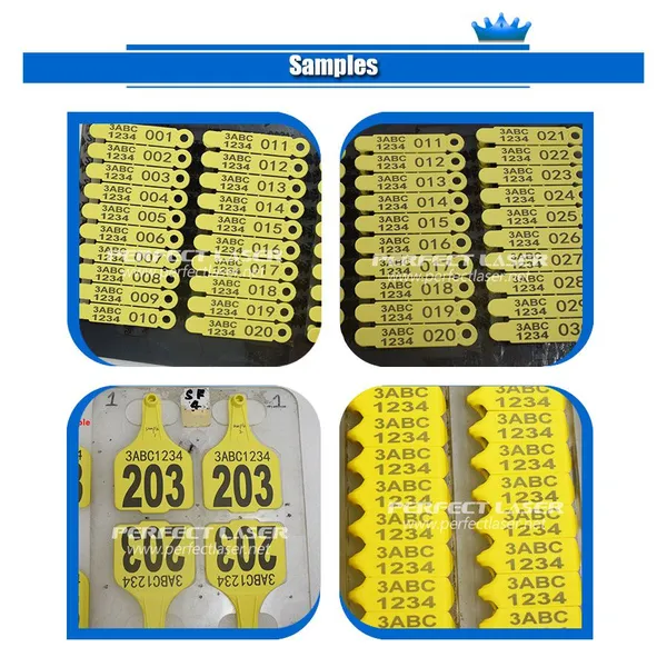 Perfect Laser Fiber Laser Metal Engraver Etching Marking Machine With Full Enclosed Cabinet photo-4