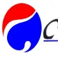 Shenzhen Cobra Sports Goods Co., Ltd. company overview - view 1