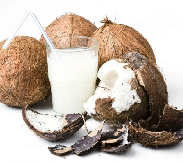 Coconut Water Processing Machine/coconut Juice Machine/coconut Milk Press photo-4