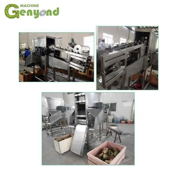 Automatic Fresh Coconut in Half Cutting Machine Price photo-6