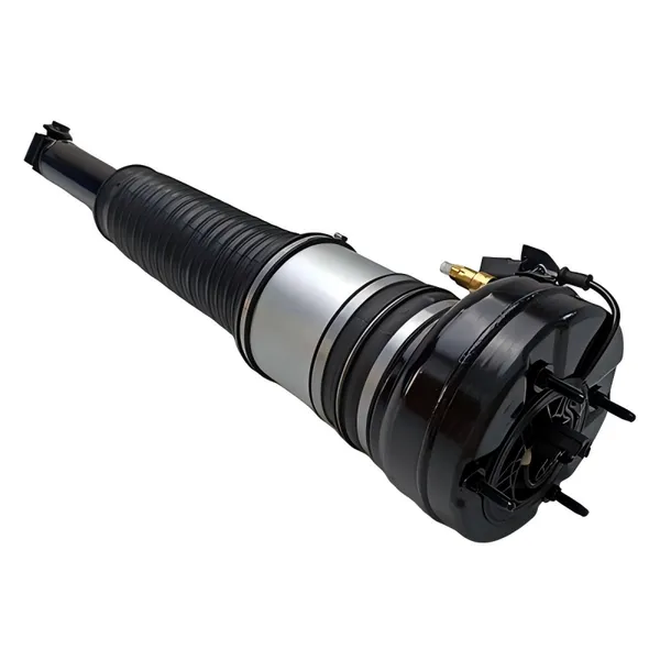 A8 D5 Airmatic Shock Use for Audi 4N4616039F